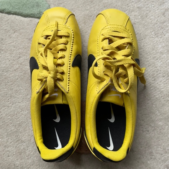 classic cortez blazing sun